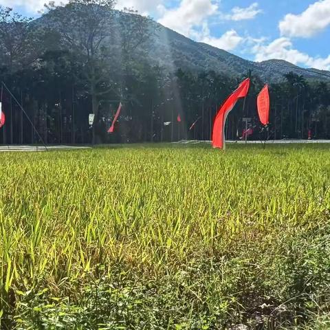 五指山市毛道乡持续开展大气污染防治巡查工作