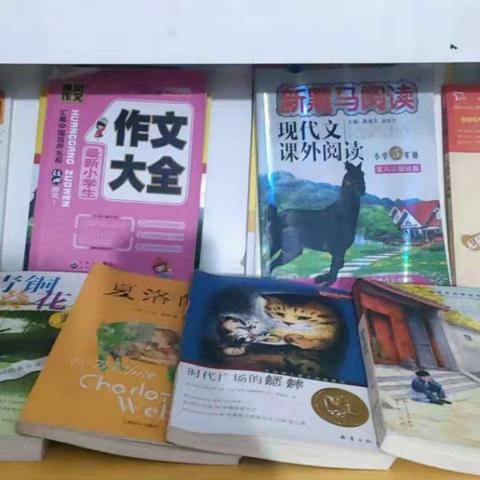 争做爱读书好少年——洛阳市长夏门小学读书小明星风采展示（十一）李瑞琪同学