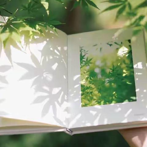 推门听“新”声，助力“新”成长——临高县新盈镇安全小学语文组开展推门听课活动