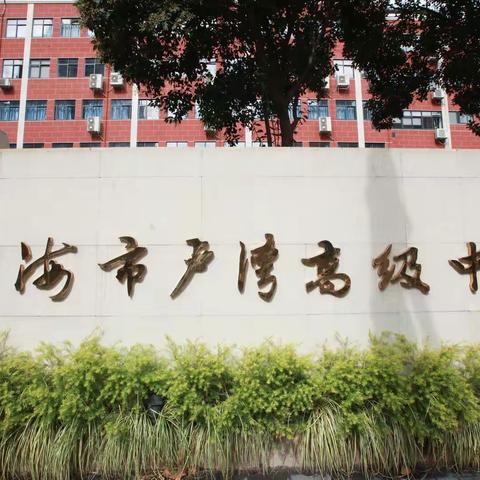 “研修名校教学，拓宽学习视野”宿松县中青年骨干教师赴沪研修班第八组学习简报