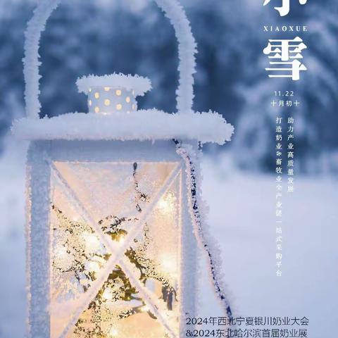 节气之美·小雪