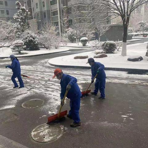 网格+故事：未央湖街道西工新苑社区“扫雪我先行”清扫积雪活动