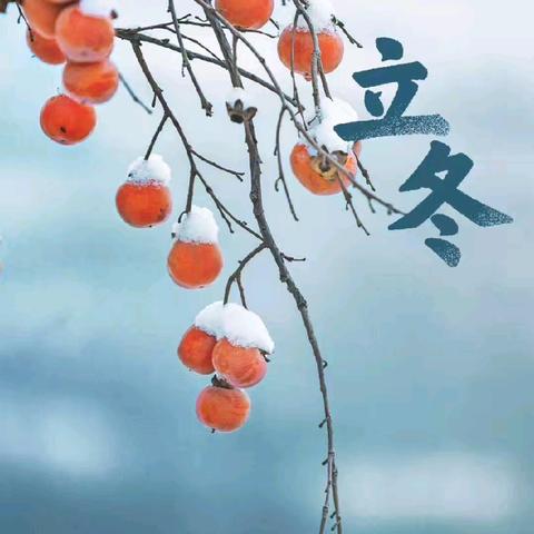 知节气，晓立冬