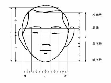 人物艺术造型特征形体量身法
