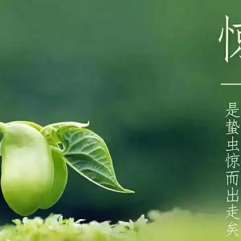 雨润万物长 雷鸣惊蛰始——原州五幼小班组惊蛰节气主题活动