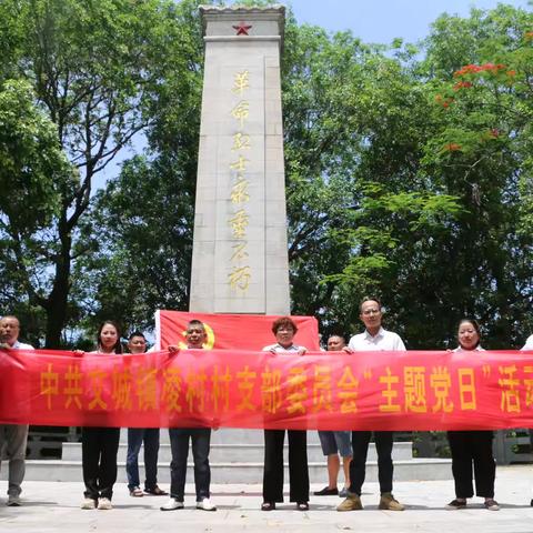 凌村村党支部组织开展“党建引领  乡村振兴 喜迎七一”主题党日活动