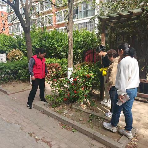 【槐荫禁毒】宣传踏查齐发力 齐心协力护净土