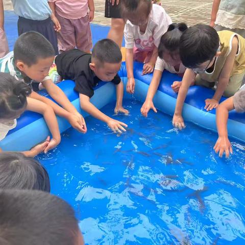 “做一夏快乐小孩儿”鳅跃童趣——捉泥鳅