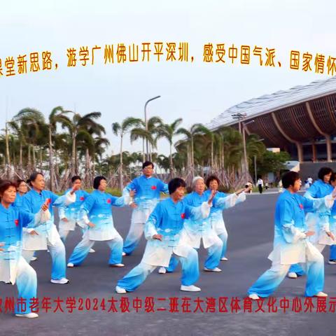 开启第二课堂新思路：感受湾区文化与太极魅力