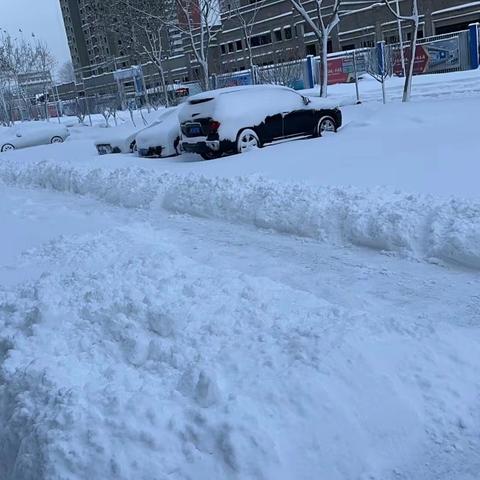 雪中“农”情，温暖了这个冬天