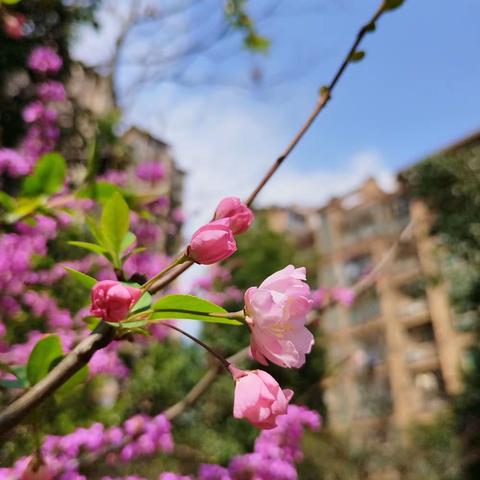 传承雷锋精神，做追“锋”少年