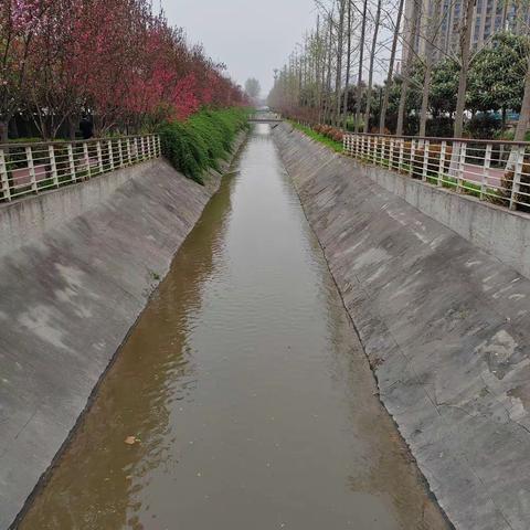 簇簇桃花淡淡风，春日巡河阵阵香 ——漳浒寨街道开展沣二干渠通流巡河工作