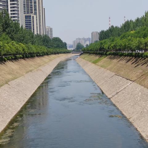 用“心”守护河道生态安全，用“行”及时回应居民诉求——漳浒寨街道开展河道夏季蚊虫防治工作