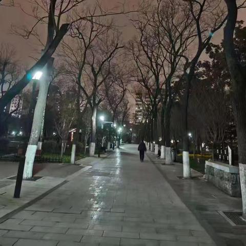 四月第一周夜间巡查情况