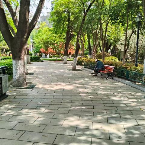 第四巡查组检查情况
