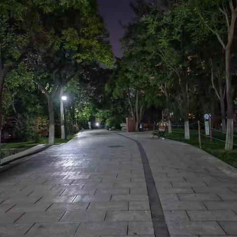 六月第二周夜间巡查情况