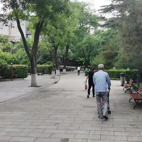 第四巡查组检查情况