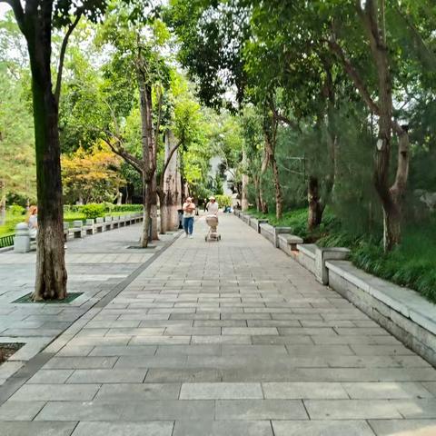 第四巡查组检查情况