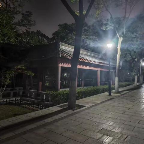 八月第四周夜间巡查情况