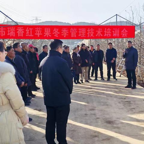 全市“瑞香红”苹果冬季管理技术培训会在我县成功举办