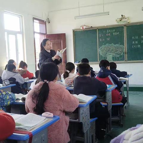 于“静默”处听惊雷 ——《鸟的天堂》 芦集乡第二小学语文组教研活动 2025.12.3