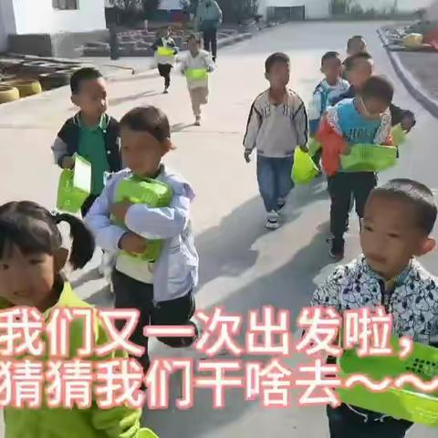 【班级动态】“抓住夏的小尾巴”沙五幼中一班社会实践活动