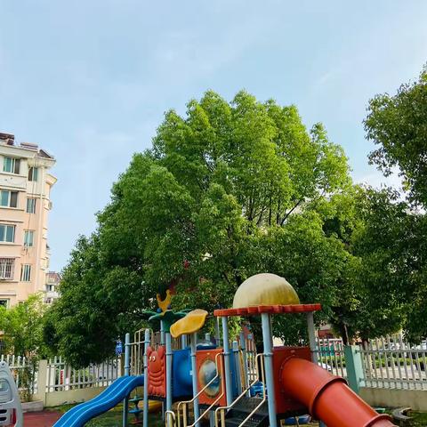 让🌈时光吹进✨✨幼儿园的日常