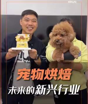 17岁小女孩给宠物做烘焙小点月收入三至四万带来的思考