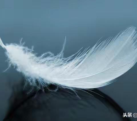 生活是一地鸡毛  但仍要笑之以歌