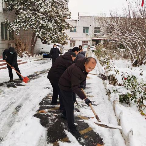 9号院党员干部集体开展扫雪除冰活动