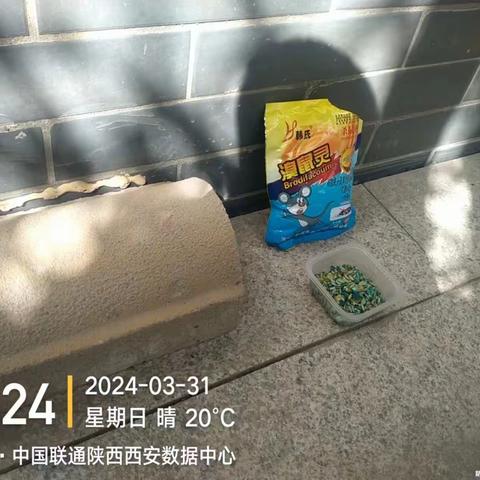 消灭“四害”  守护你我他