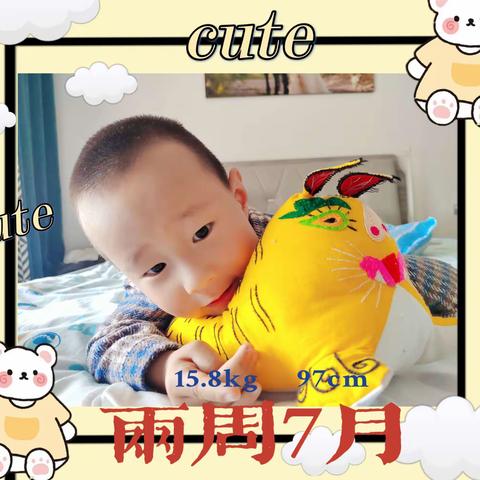 可可爱爱的乐宝