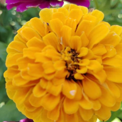 山果熟，水花香， 家家风景有池塘 睿亨物业真情服务