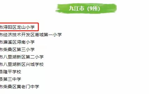 喜报：龙山小学荣获“省级语言文字规范化示范校”荣誉称号