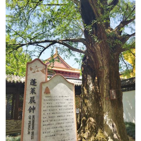 第四篇： 舟行处，水云间，古镇游