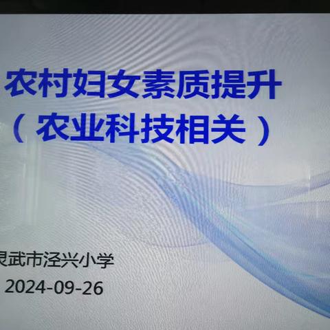 “点点灯光 照亮生活” —灵武市妇联在泾兴小学举行女性文化素质提升行动培训班（四）