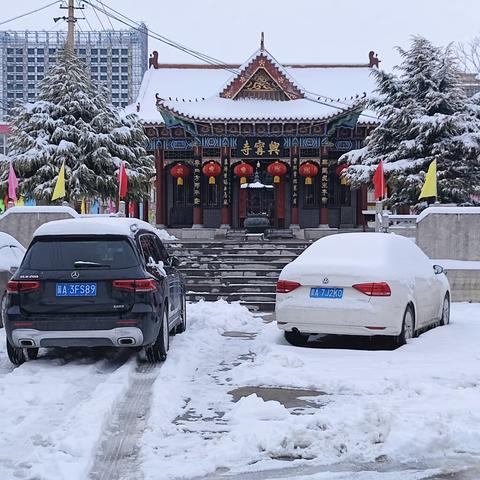 暴雪寒潮连天降 白佛社区扫雪忙