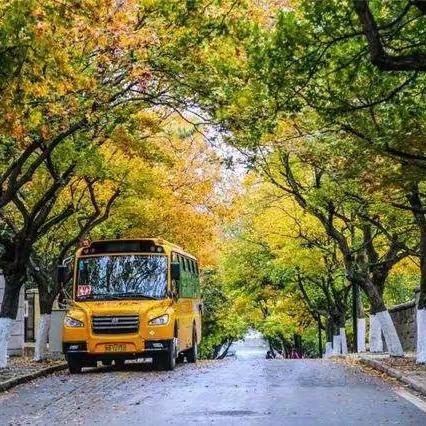 追光而行，学思致远 ——东港区青年教师赴青岛市南区跟岗学习简报（三）