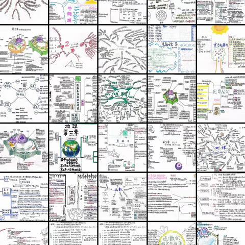 整合新旧知识 建构知识网络———齐市一中筑基学部思维导图成果展