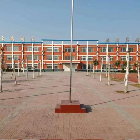 “教”以潜心，“研”以致远—万张街道陈楼科学公开课活动