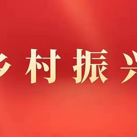 南市街道：政策宣传入农户 防止返贫决心坚