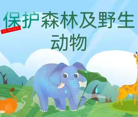 保护森林和野生动物 ‍
