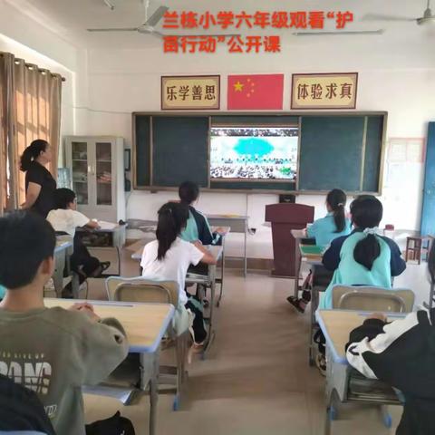 .临高县加来兰栋小学观看“护苗行动”公开课第二场《从“心”出发，向阳而生》特别活动简篇