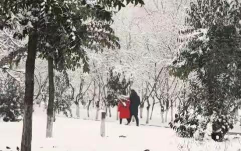 享受一场酣畅淋漓的冬雪