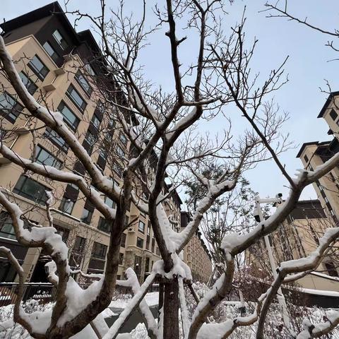 破冰除雪，是我们贴心守候。