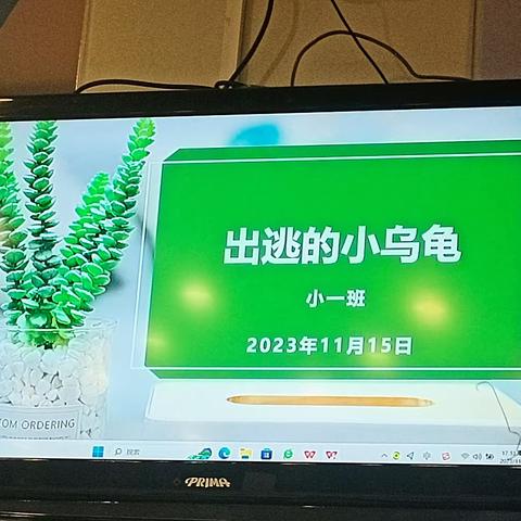 《出逃的小乌龟》