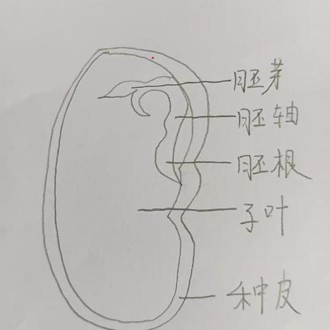 初高中衔接及情况--高一五班王思元