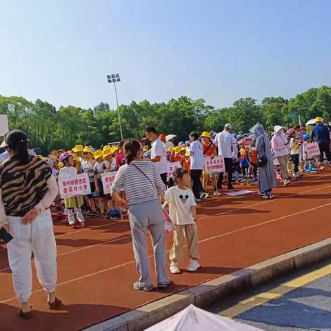 祝贺我校轮滑队在“轮动·冰感”轮滑巡回赛，安徽池州站的比赛中获得佳绩