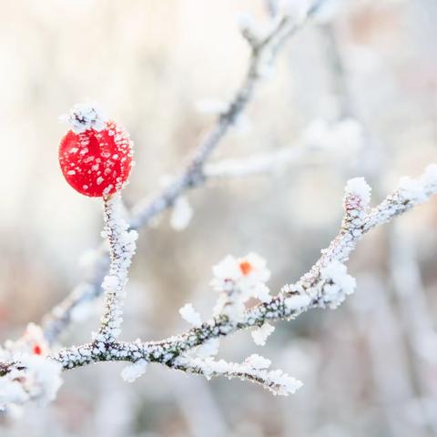 知节气，晓立冬