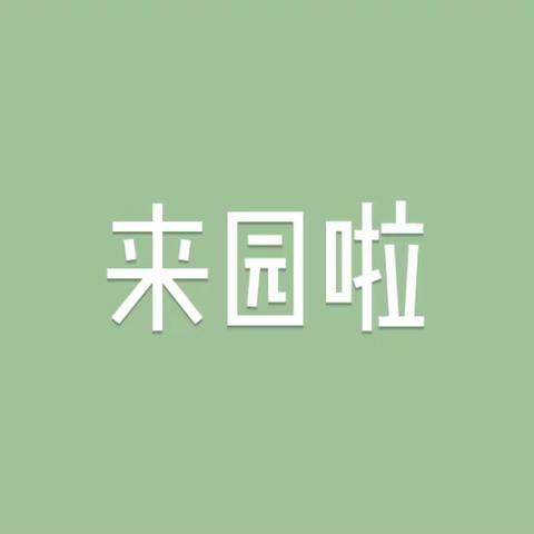 小四班家长开放日